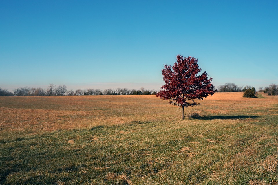 Kansas